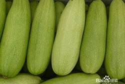 减脂吃白瓜,轻松享瘦的健康选择