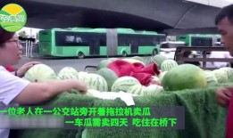 赞美老人路过吃瓜,致敬那些悠然自得的老人