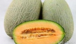 吃完辣再吃哈密瓜会苦,揭秘味蕾间的奇妙碰撞