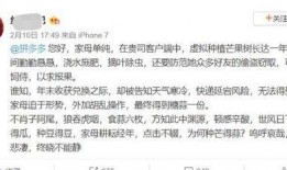 吃瓜多多推文,娱乐圈幕后大揭秘！