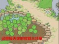 道具吃瓜蛙,揭秘神秘道具背后的神奇力量