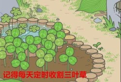 道具吃瓜蛙,揭秘神秘道具背后的神奇力量