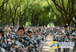 军训跳舞吃瓜群,吃瓜群乐享时光