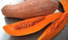 吃方瓜有坏处,揭秘潜在危害与注意事项”