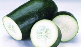 什么瓜没吃懂,一场引人入胜的谜团之旅