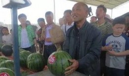 吃瓜42,一场全民热议的瓜界盛宴