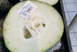 吃瓜事件成都,揭秘网络舆论背后的真相与反思