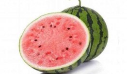 秋冬吃麒麟瓜文案,麒麟瓜，暖胃又养生