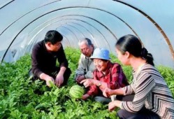 消防吃瓜接连中,揭秘背后真相与反思