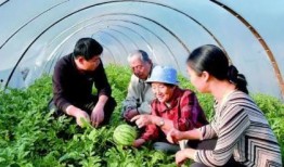 消防吃瓜接连中,揭秘背后真相与反思