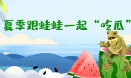 道具吃瓜蛙,揭秘神秘道具背后的神奇力量