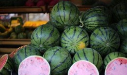 中国网友吃瓜网,揭秘娱乐圈幕后故事，带你领略网络舆论风云