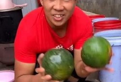 小伙吃瓜,小伙揭秘吃瓜背后的故事