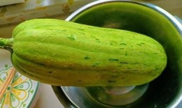 吃馅用什么瓜好吃,探寻与各种瓜果的完美邂逅