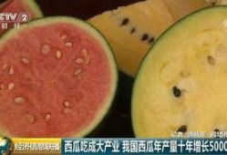 世界各种吃瓜,揭秘世界各地的独特“吃瓜”文化