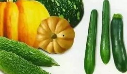 吃瓜李小米,揭秘娱乐圈背后的故事