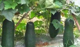 雨竹丶在吃瓜,揭秘娱乐圈幕后故事