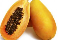 肾阳虚吃啥瓜,这些瓜果助你温补肾阳