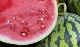 秋冬吃麒麟瓜文案,麒麟瓜，暖胃又养生