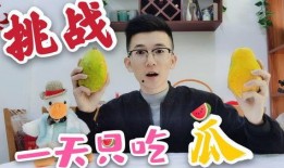 挑战吃佛手瓜,揭秘佛手瓜的独特风味与烹饪技巧