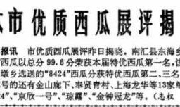 带你吃瓜接头暗号,揭秘“带你吃瓜接头”暗号背后的神秘世界