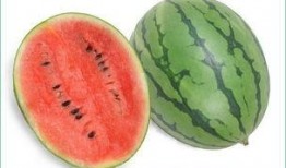 吃瓜过敏原因,原因与预防措施全解析