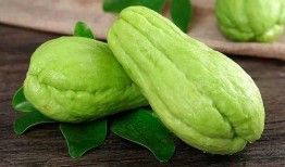 挑战吃佛手瓜,揭秘佛手瓜的独特风味与烹饪技巧