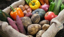 方姐食品吃瓜,吃瓜群众的美食盛宴