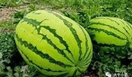 吃瓜赵小花,揭秘娱乐圈背后的那些事儿