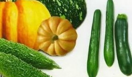 红中吃瓜,揭秘网络热点的背后真相