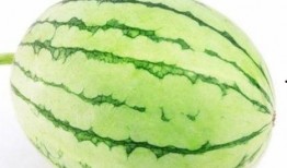 广州户外吃瓜,炎炎夏日里的清凉一夏