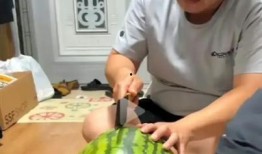 播放吃瓜博主,带你领略网络世界的“瓜田”盛景