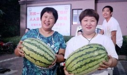 吃瓜照片调色,揭秘照片调色背后的艺术魅力