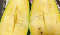 崇明崩瓜怎么吃,传统美食的多样吃法探索