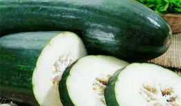 秋季吃3瓜,吃出健康，三瓜助力调养身心