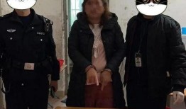 吃瓜交警办案,智慧执法显神威