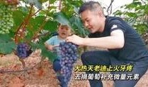 迪哥闯世界吃瓜,一场别开生面的吃瓜之旅