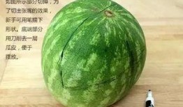 带你吃瓜奇葩树木,带你探索大自然的“吃瓜”奇观