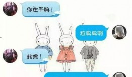 吃瓜系统全班心声,吃瓜系统背后的故事与感悟