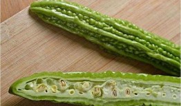 一菇吃瓜,揭秘菌类与瓜果的奇妙碰撞