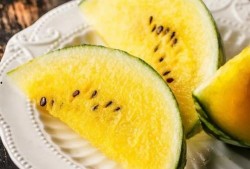 耗子尾汁 吃瓜,揭秘“耗子尾汁”与“吃瓜”背后的文化现象