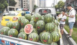 新密大瓜吃瓜群众视频在线观看,吃瓜群众视频在线观看，精彩瞬间一网打尽