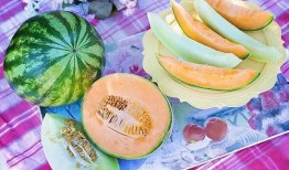 梦见自己瓜地吃瓜,揭秘瓜地吃瓜的神秘寓意