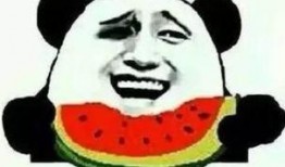 抛瓜给吃瓜群众,共享欢乐，共品瓜香