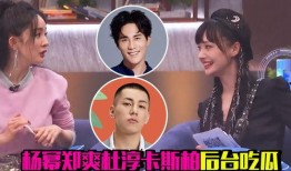 金晨吃的瓜,娱乐圈背后的故事与真相