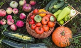 明新吃瓜,揭秘娱乐圈背后的那些事儿