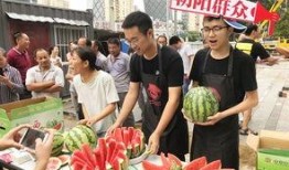 朝阳人民吃瓜,揭秘京城百姓的“吃瓜”日常