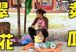 吃瓜翠花妈妈,揭秘家庭生活中的趣味与智慧