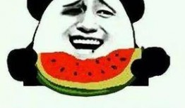 吃瓜吃到吐暗示,从吃瓜吃到吐的反思之旅