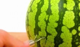 反差吃瓜每日更新